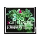 CF 4GB ElitePro 133X prezentuje Gral.