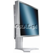 �NEC 20" LCD MultiSync 2090UXi (16ms, DVI, pivot, srebrno-bialy) przedstawia grafika.