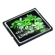 �Compact Flash 4GB Elite Pro x133 Kingston  przedstawia grafika.