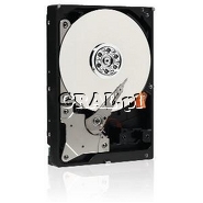 WD 500GB, SATA2, 32MB (WD5000AVDS) AV-GP przedstawia grafika.