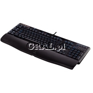 Logitech Gaming Keyboard G110 przedstawia grafika.