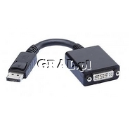 Przejsciwka/adapter DisplayPort (meski) / DVI-I (zenski)  przedstawia grafika.