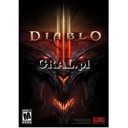 Diablo 3 PC PL przedstawia grafika.