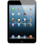 Apple iPad mini Wi-Fi 64GB + Cellular 4G Black przedstawia grafika.