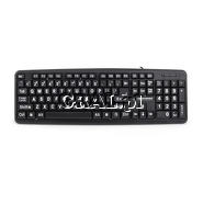 Esperanza FLORIDA EK129 USB z du�ym nadrukiem przedstawia grafika.