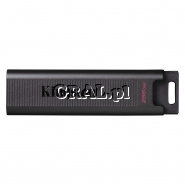 PenDrive 256GB USB-C Kingston Data Traveler MAX przedstawia grafika.